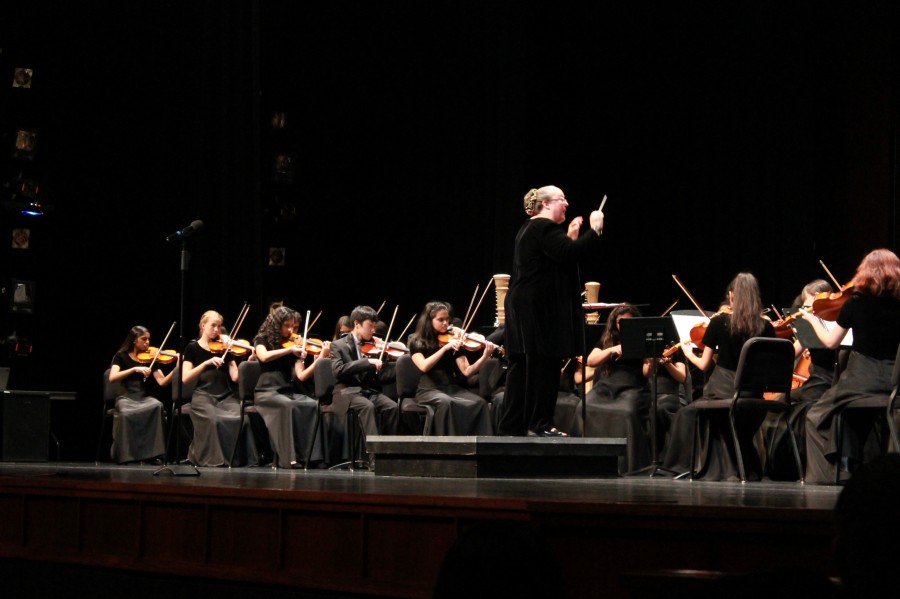 Orchestra Performs in Fall Concert