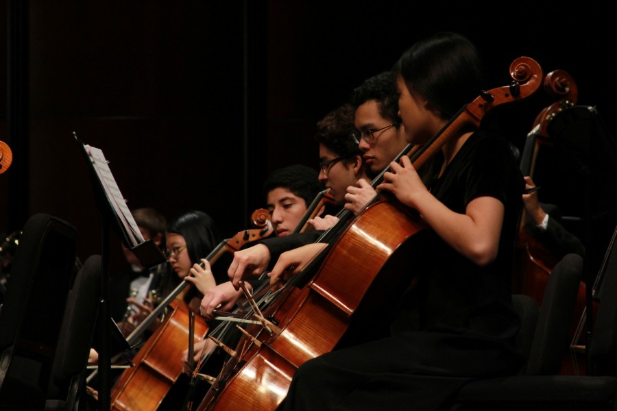 Region 26 String Orchestra Performs Concert