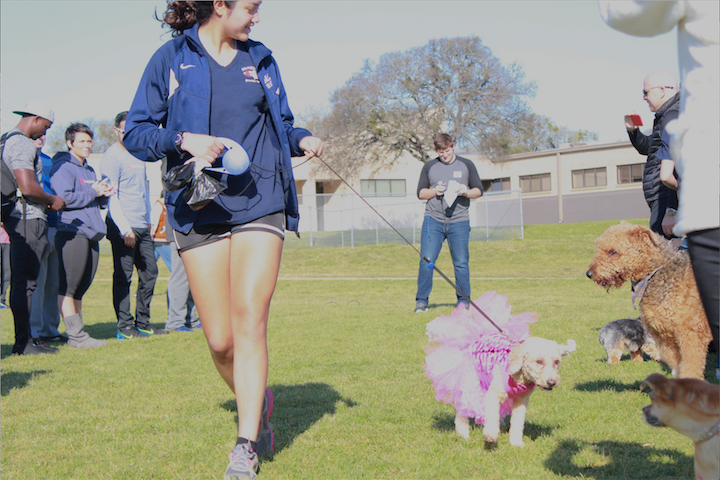 Paws-itive Project: RRISD Hosts Doggy Dash