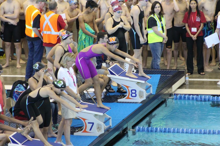  Angela Wang ‘17 prepares for a relay exchange during the girls’ 200-yard medley relay.