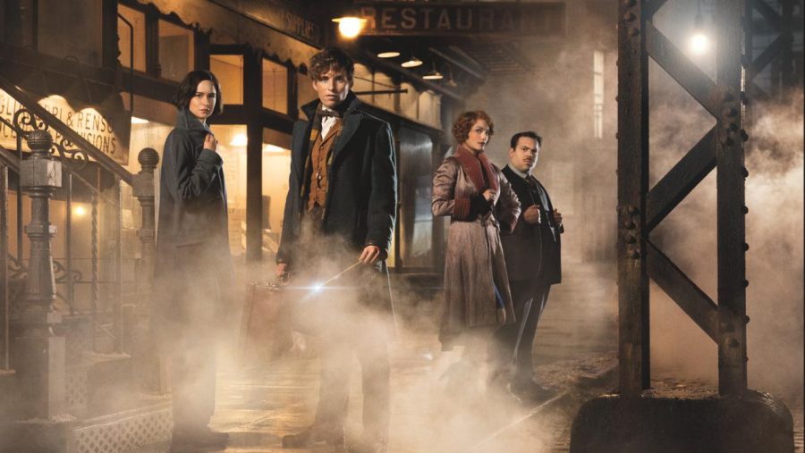 Fantastic Beasts and Where To Find Them Brings the Magic Back to the Box Office