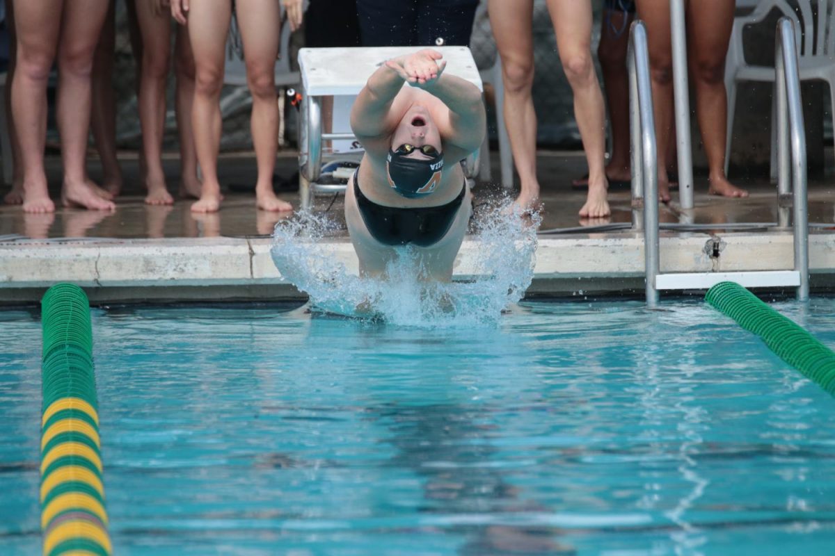 Staley Varozza 18 dives into the pool to begin the race. 