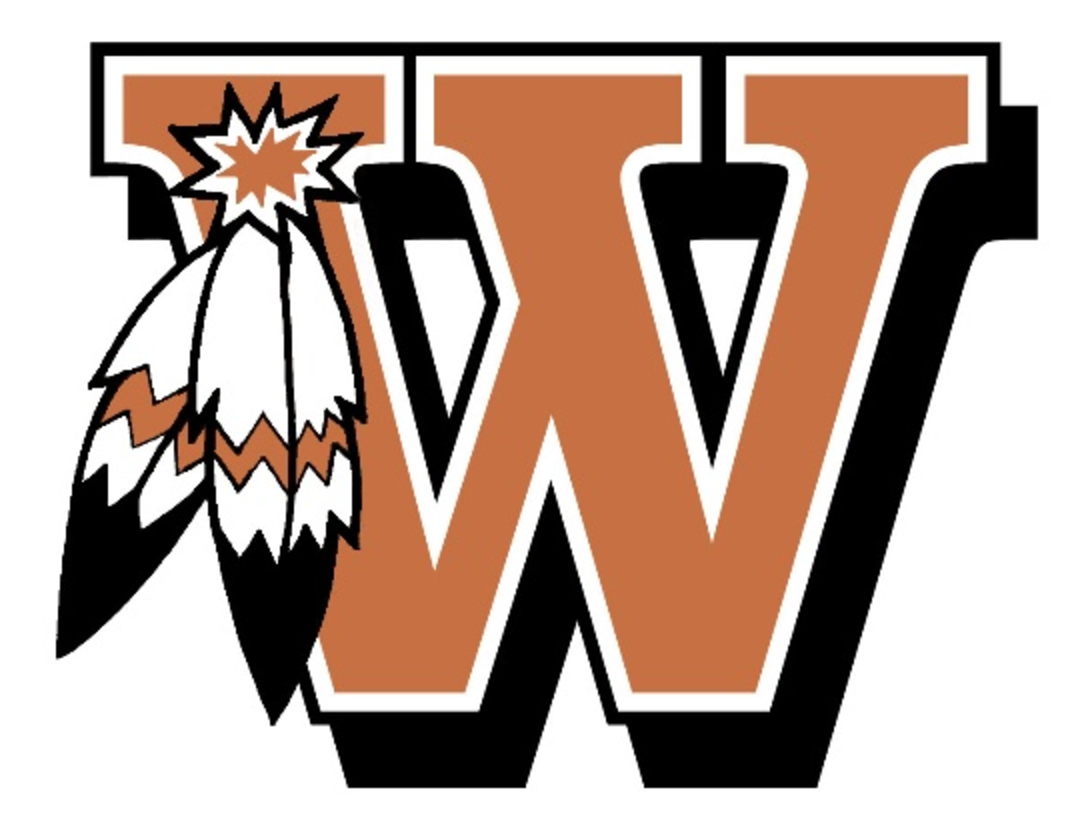 JV Orange Volleyball Triumphs over Hedrickson Hawks