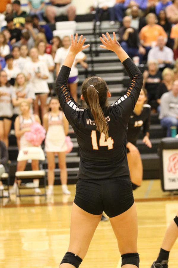 Abi Rucker 20 prepares to set up one of her front row hitters against Anderson.