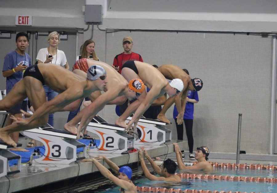 Kyle Varrozza 18 and Staley Varrozza 18 dive into their 50 freestlye. 