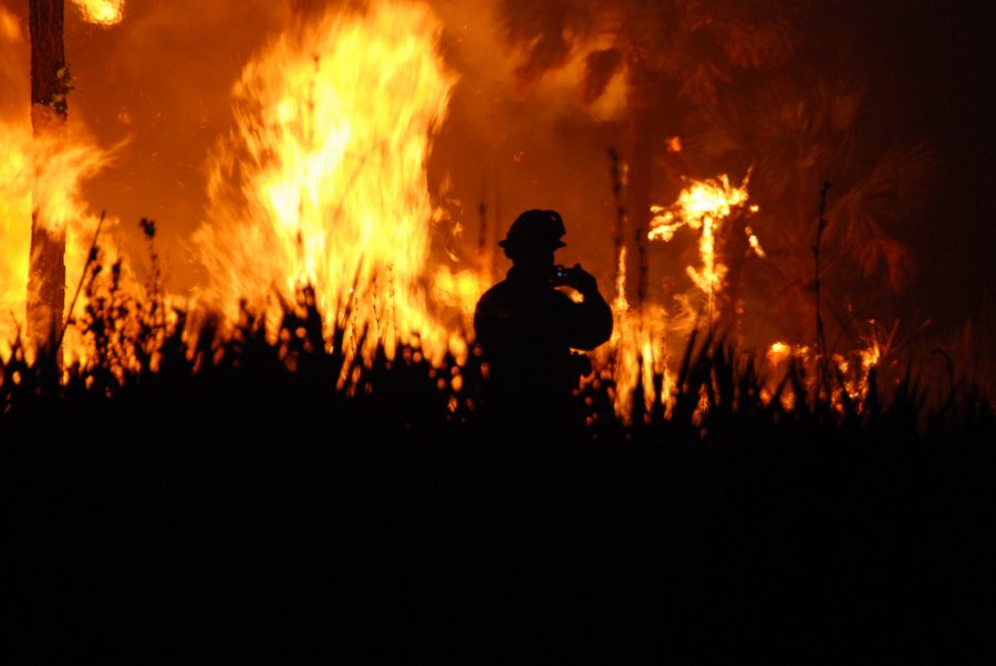 Wildfires Devastate California