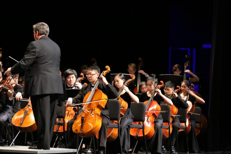 The cello section during their second song. 