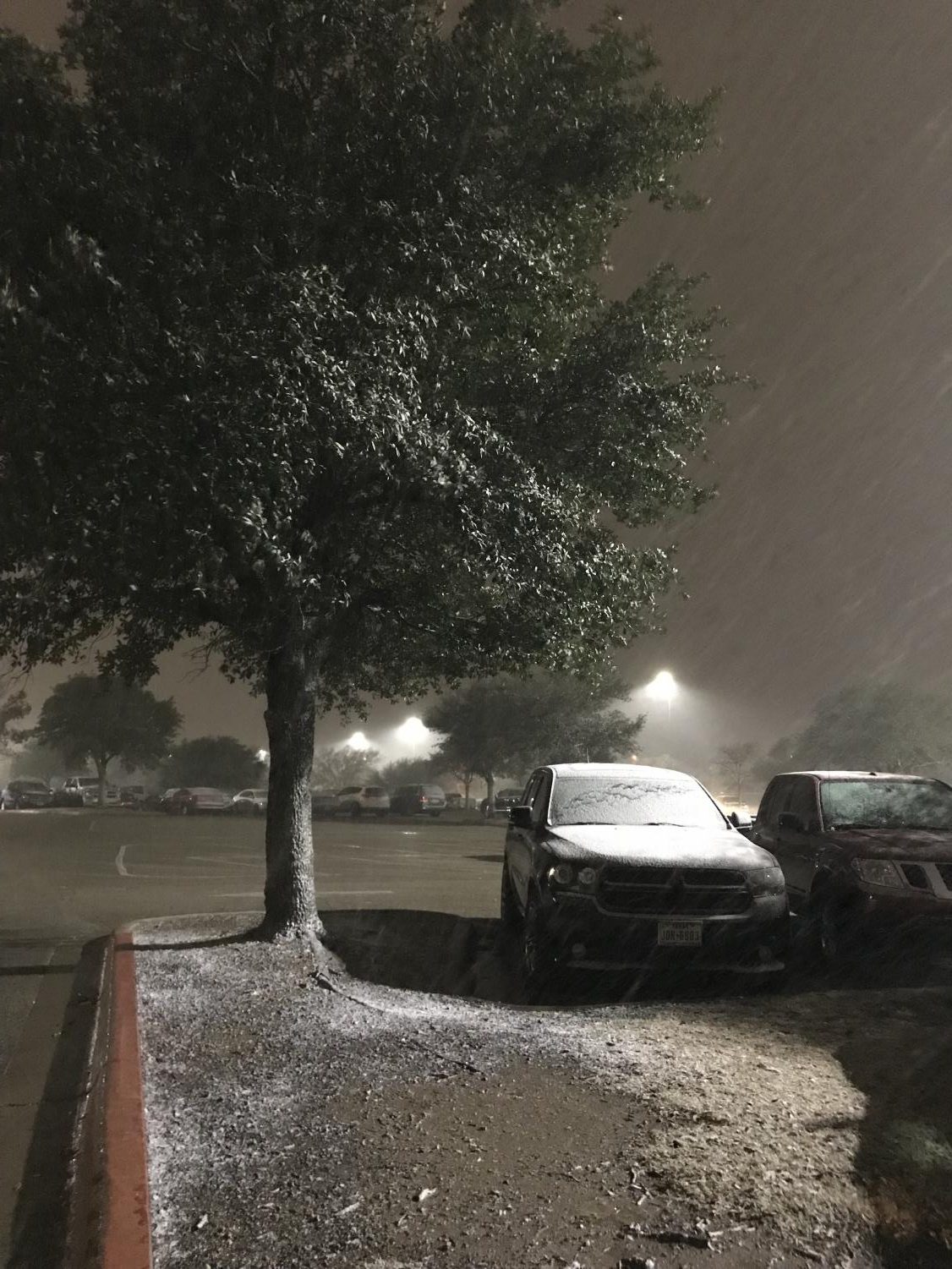 Rare+Snowfall+Catches+Texans+by+Surprise