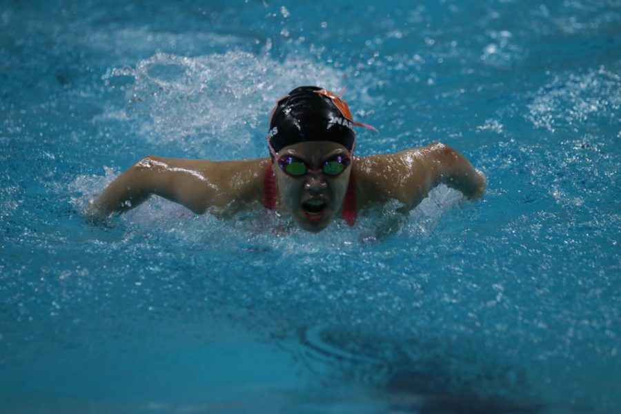 Emily Ngo 19 competes in the butterfly event.