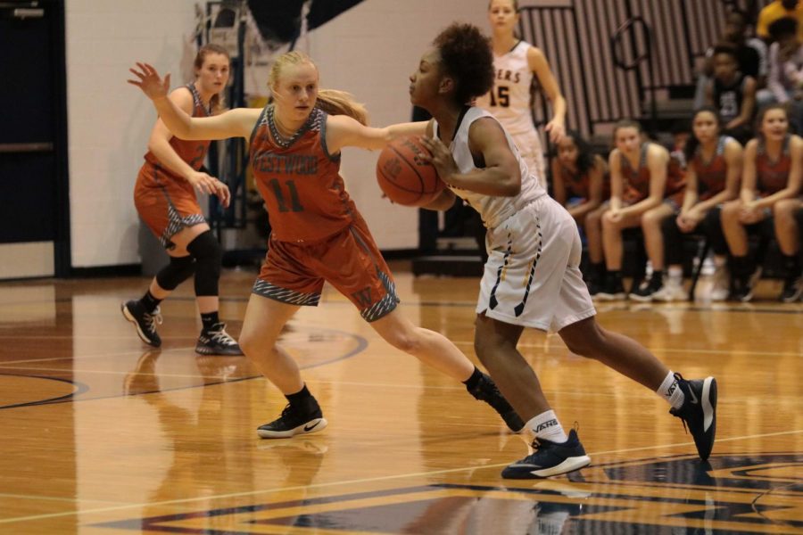 Christie French 19 defends Stony Point point guard. 