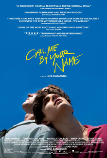 Call Me By Your Name Dazzles On Screen