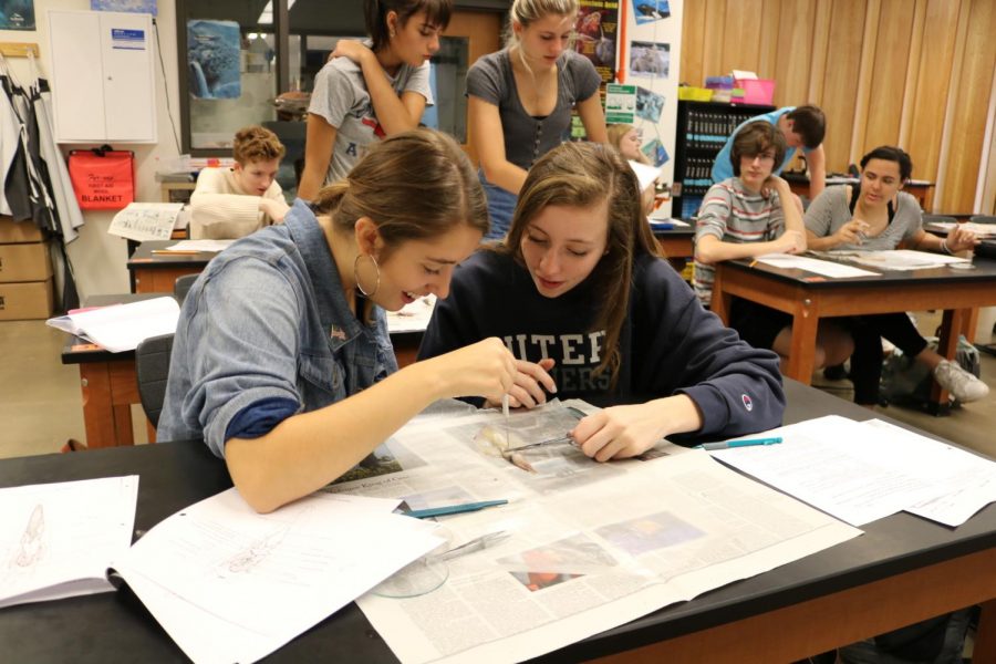 Ellie DeSpain 18 and Emma Stiles 18 smile as they complete their lab.