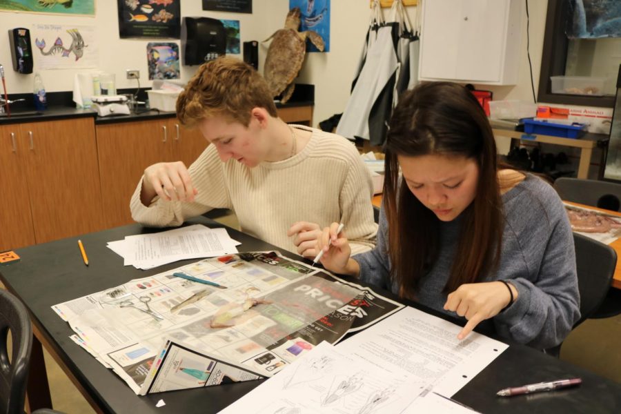 Mia Nguyen 18 and Jacob Marlow 18 read their instructions on what to do now with their squid.