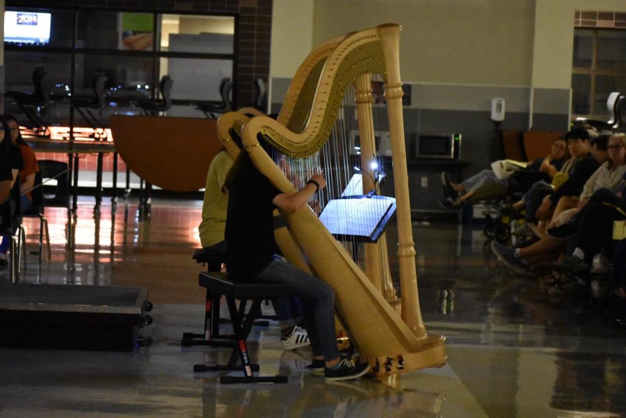 Three Harps perform a Disney melody. 