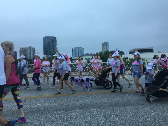 Runners bring their dogs and dye them pink in honor of breast cancer awareness.