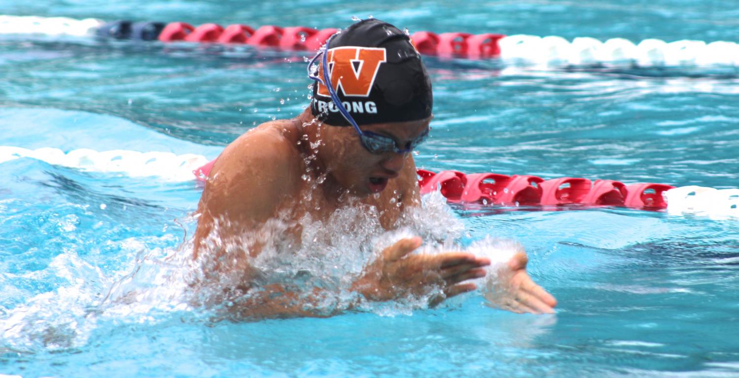 Swim+and+Dive+Out-Touched+by+Vandegrift+Vipers