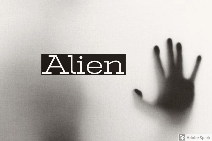 Alien (1979) horrifies audiences with its sci-fi thrill. 