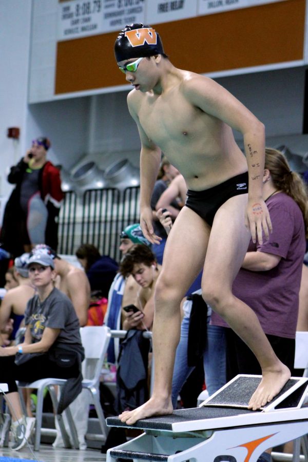 Austin Nguyen 22 prepares to dive off of the diving block.