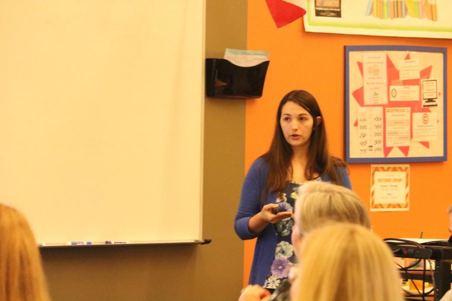 Sydney Dickerson gives possible solutions to helping students with anxiety. 