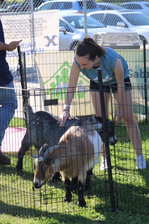 Florie Sambuis 20 gently pets a goat in the petting zoo. 