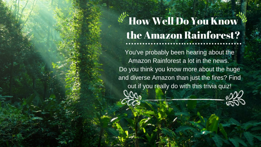 How well do you know the Amazon Rainforest?