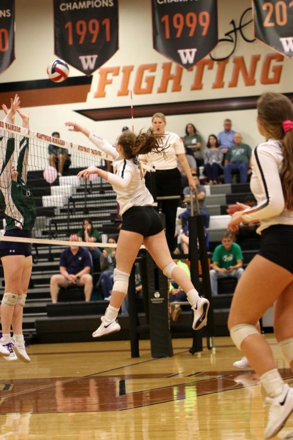 Audrey Quesnel 20 hits the ball to the Mavericks blockers. The play ended with McNeil scoring a point. 