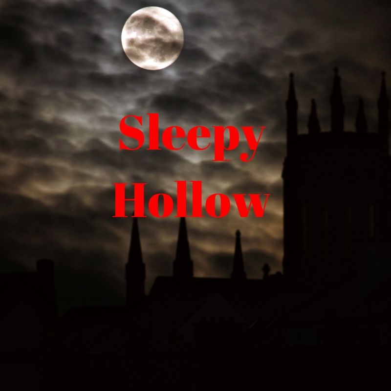 Tim Burtons adaption of Sleepy Hallow is a perfect movie for those interested in getting in the Halloween spirit. This mysterious and spooky make of Sleepy Hallow is a must watch and a Halloween classic. Graphic by Emily Malone.