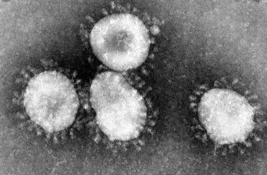 Coronavirus+Outbreak+Escalates+Across+The+World