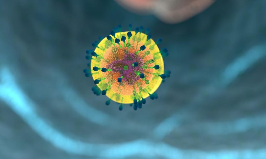 The T cell that is part of the autoimmune system response to influenza.