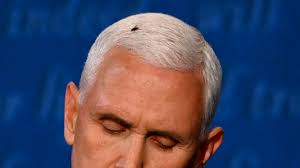 The large fly lands directly on Pence's head. The vice president is oblivious to the unexpected visitor.