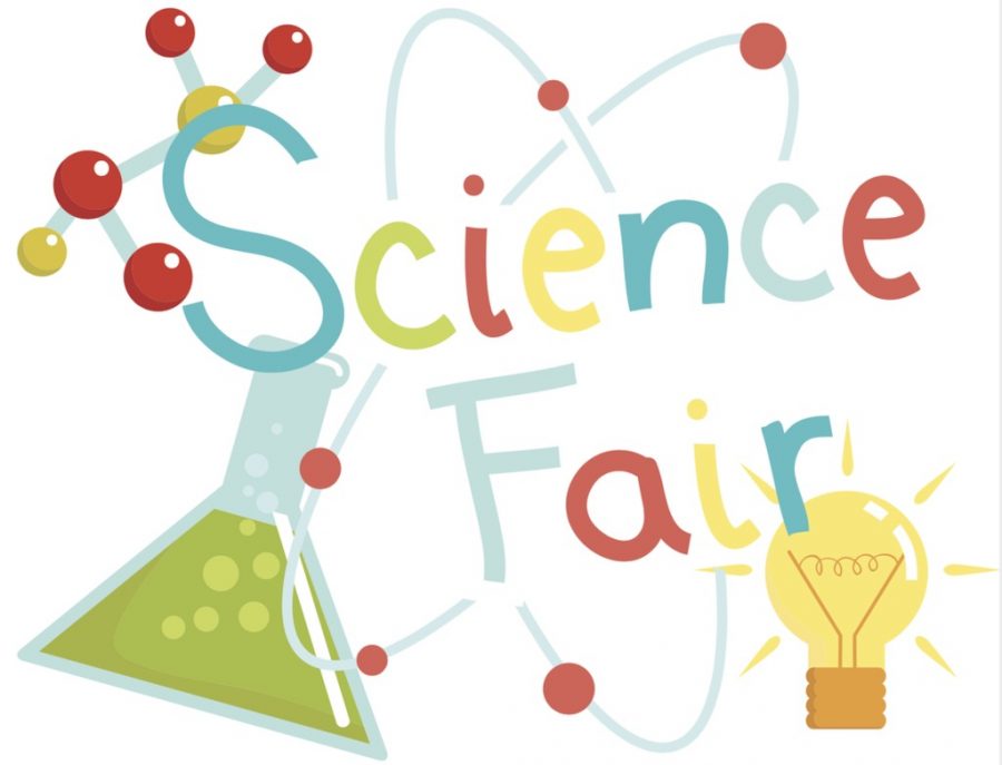 Students Participate in Regional Science Fair