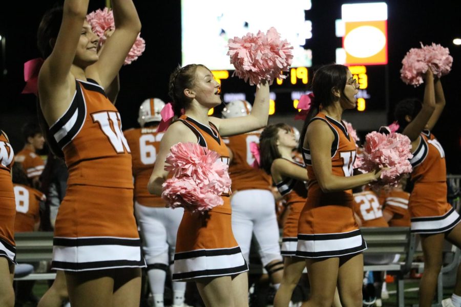The cheerleaders finish a routine, raising the crowds energy. They performed during the entire game.