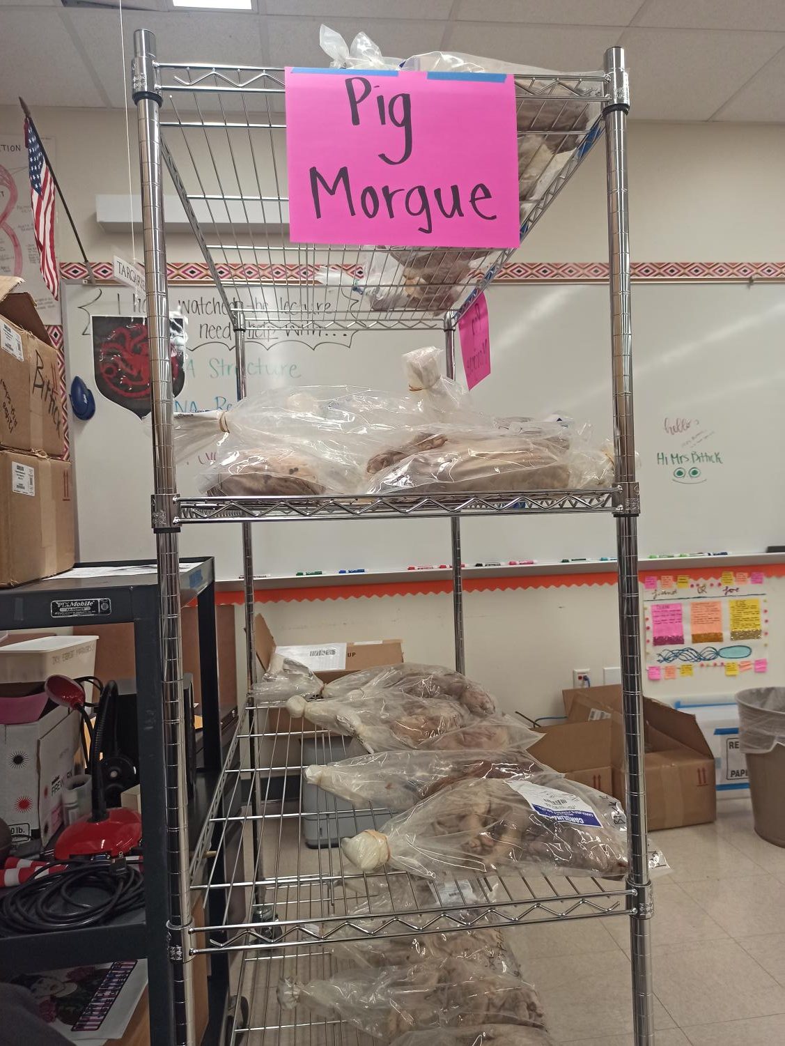 A+Change+of+Heart%3A+Forensics+Students+Perform+Pig+Autopsies+During+Death+and+Decomposition+Study