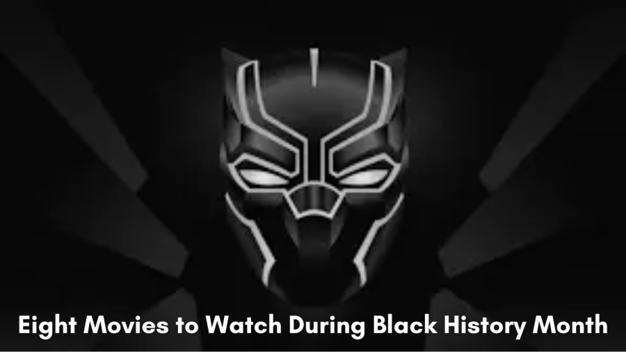 Black Panther was released in 2018 and is the sixth highest-grossing superhero movie, being eclipsed only by the four Avengers films and Spider-Man: No Way Home. Chadwick Boseman, who passed away in 2021, played the Black Panther. Image by Ilya Shapko, licensed for fair use under Creative Commons (CC).
