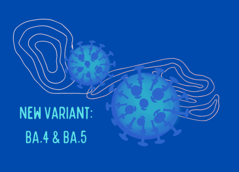Omicron sublineages BA.4 and BA.5, new variants with the ability to overcome antibodies, threaten the possibility of another stage 5 wave of COVID-19.
Graphic by Yunoo Kim