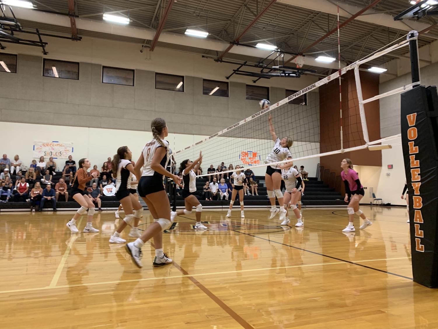 Freshman+Volleyball+Takes+Nasty+Bite+From+Vipers+2-1