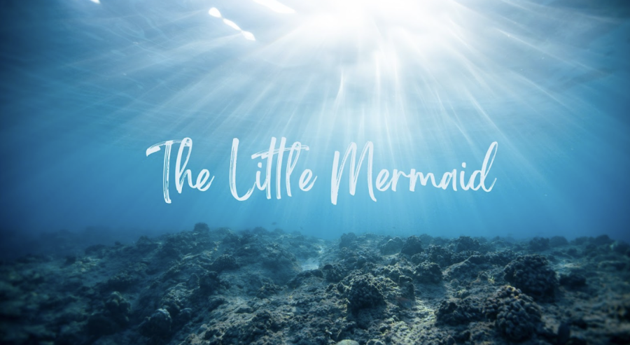 The Little Mermaid was released in late May and was an adaptation of the 1989 film. 