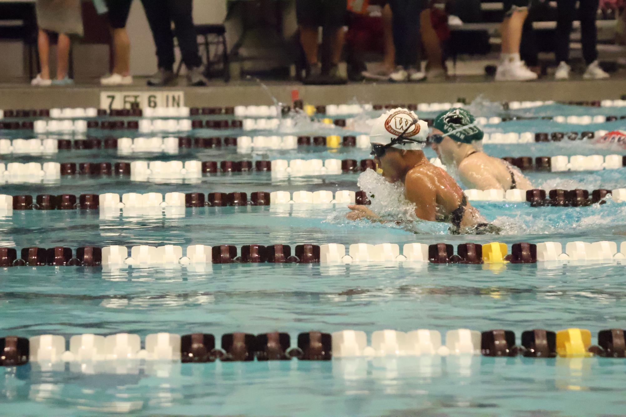Swim+and+Dive+Blows+Aggieland+Competition+Out+of+Water