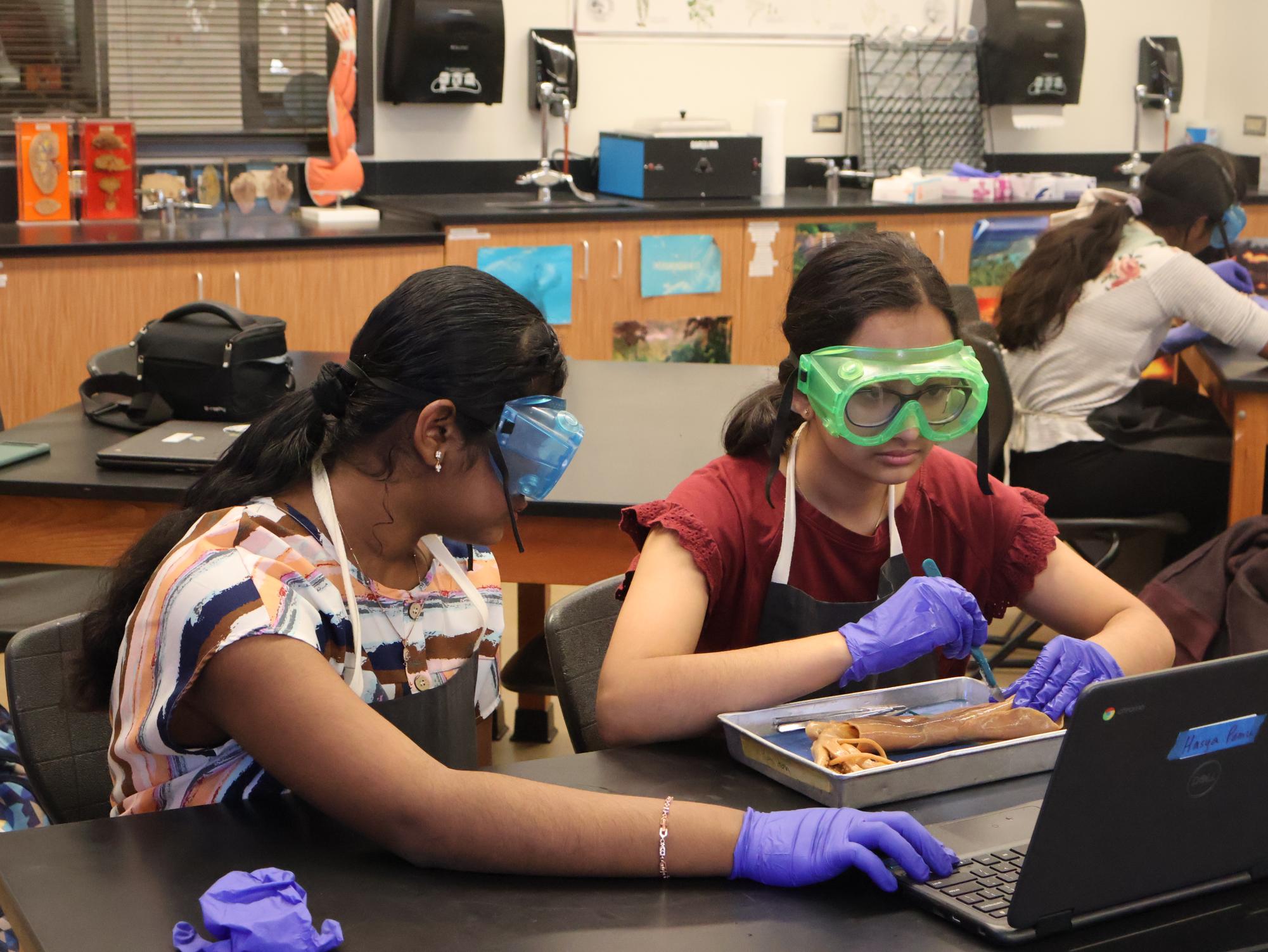 Anatomy+%26+Dissection+Club+Gets+Their+Hands+Inky+for+Squid+Dissection