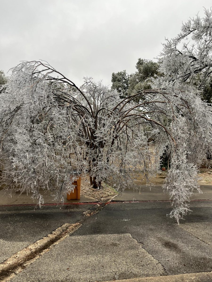 A majority of Texans rely on  Electric Reliability Council of Texas (ERCOT) for their electricity, especially during the winter. But after the recent winter storm, and previous winter disasters, Texas power grid should be re-evaluated.
