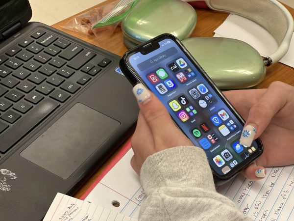 After doing her work, Payton Vopat 26 uses her phone. While educators often believe phones have a strictly negative effect on students, many students see it as a way to spend their free time.