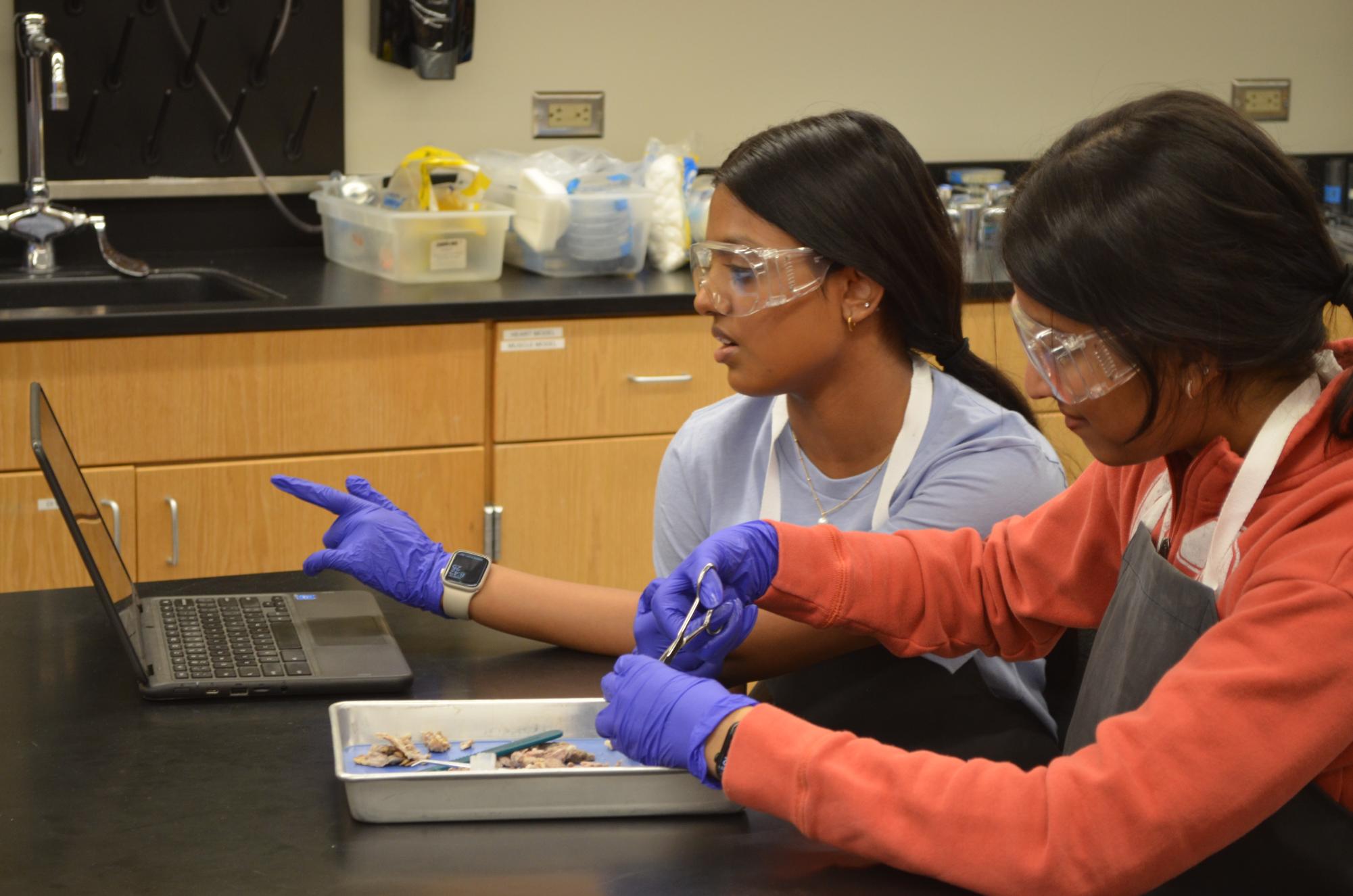 Anatomy & Dissection Club Returns With Cow Eye Dissection