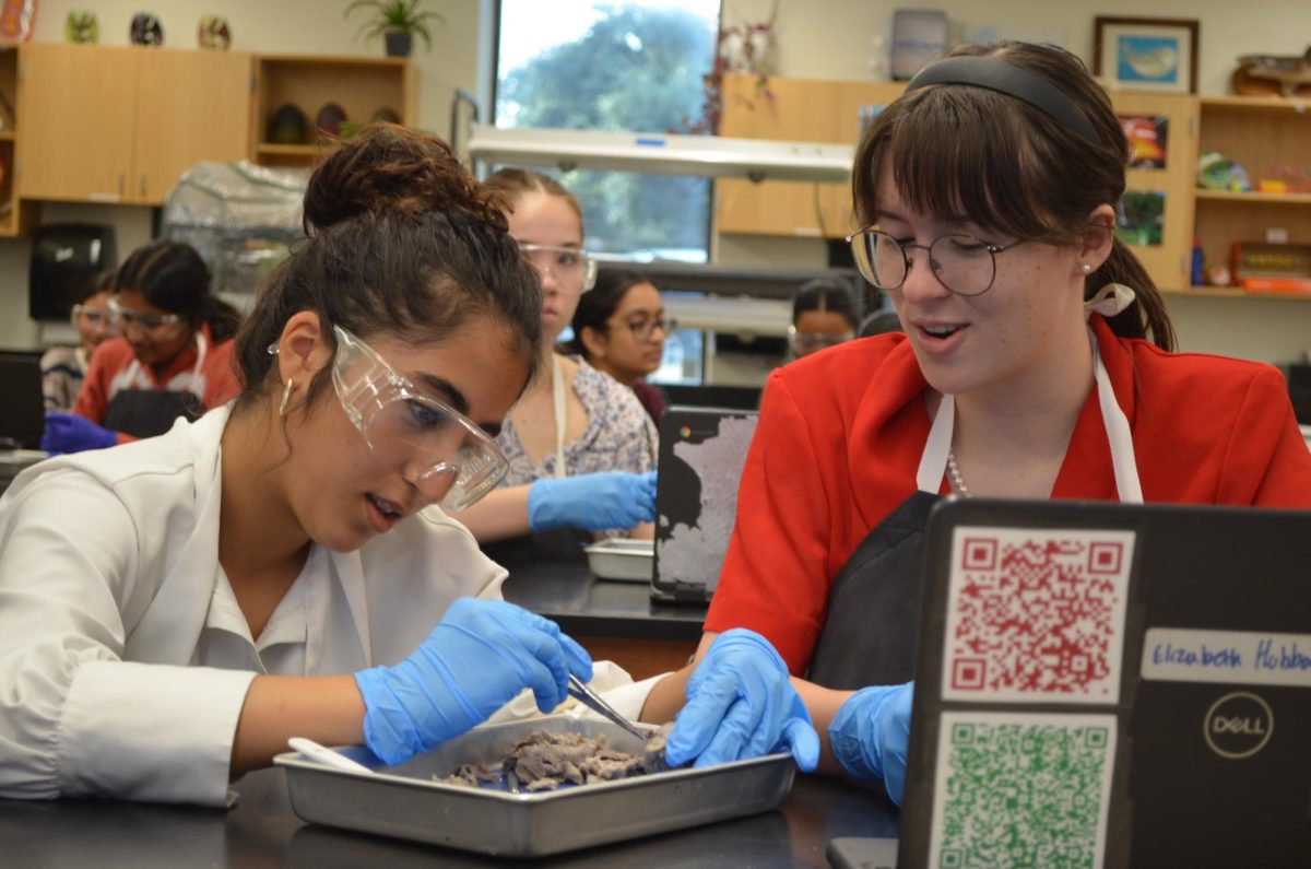 While her dissection partner uses scissors on the cow eye, Elizabeth Hubbard '27 watches and discusses. Due to the higher number of club members this year compared to last year, all participants in the dissection worked in pairs.