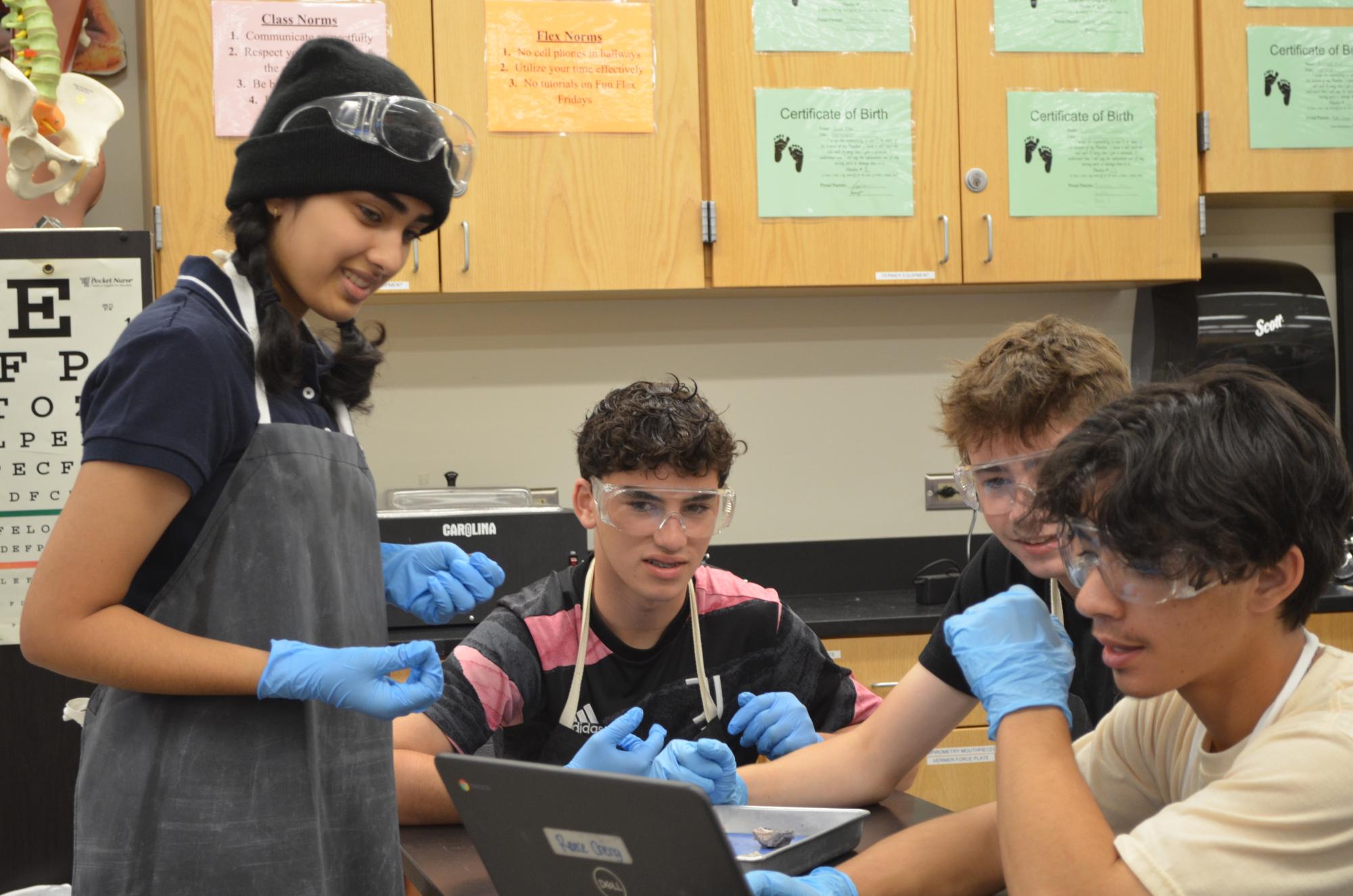 Anatomy & Dissection Club Returns With Cow Eye Dissection