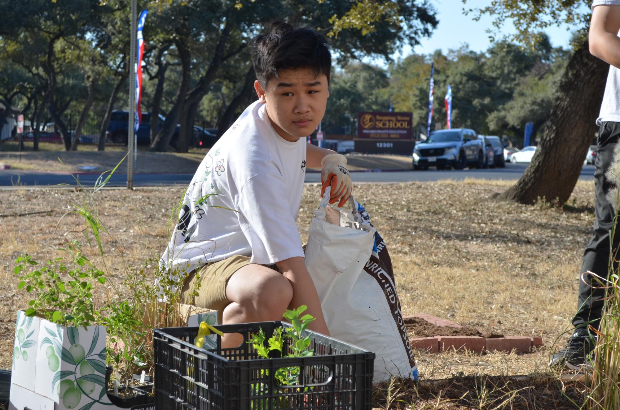 Taking Root