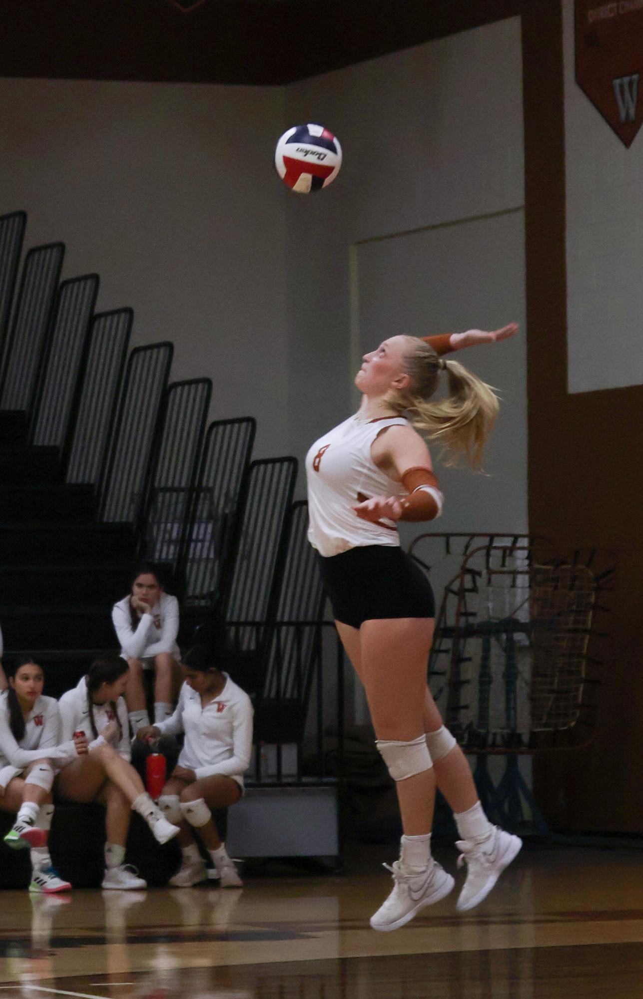 Varsity Volleyball Brings Home Loss to Round Rock