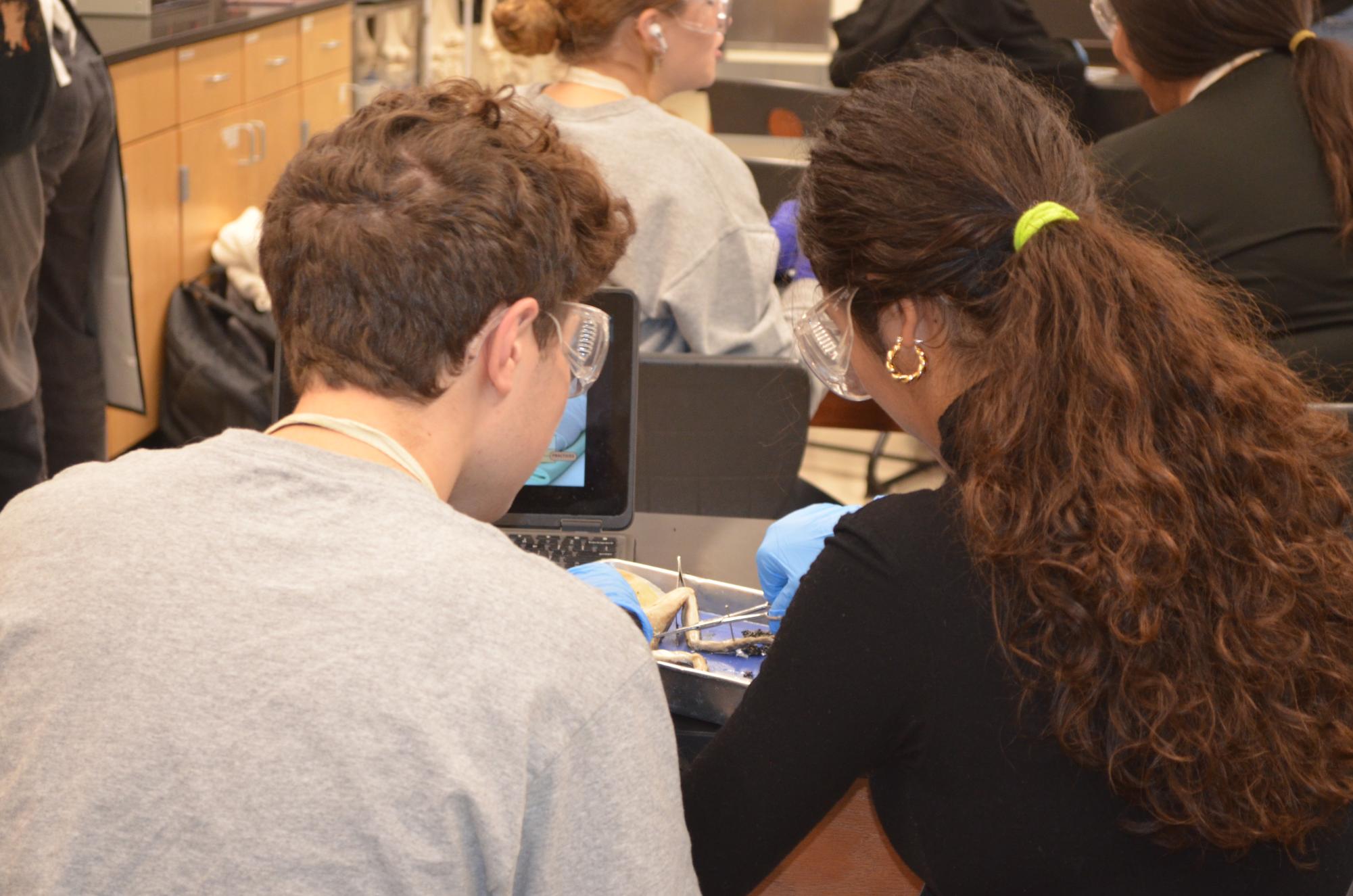 Anatomy and Dissection Club Leaps into Frog Dissection