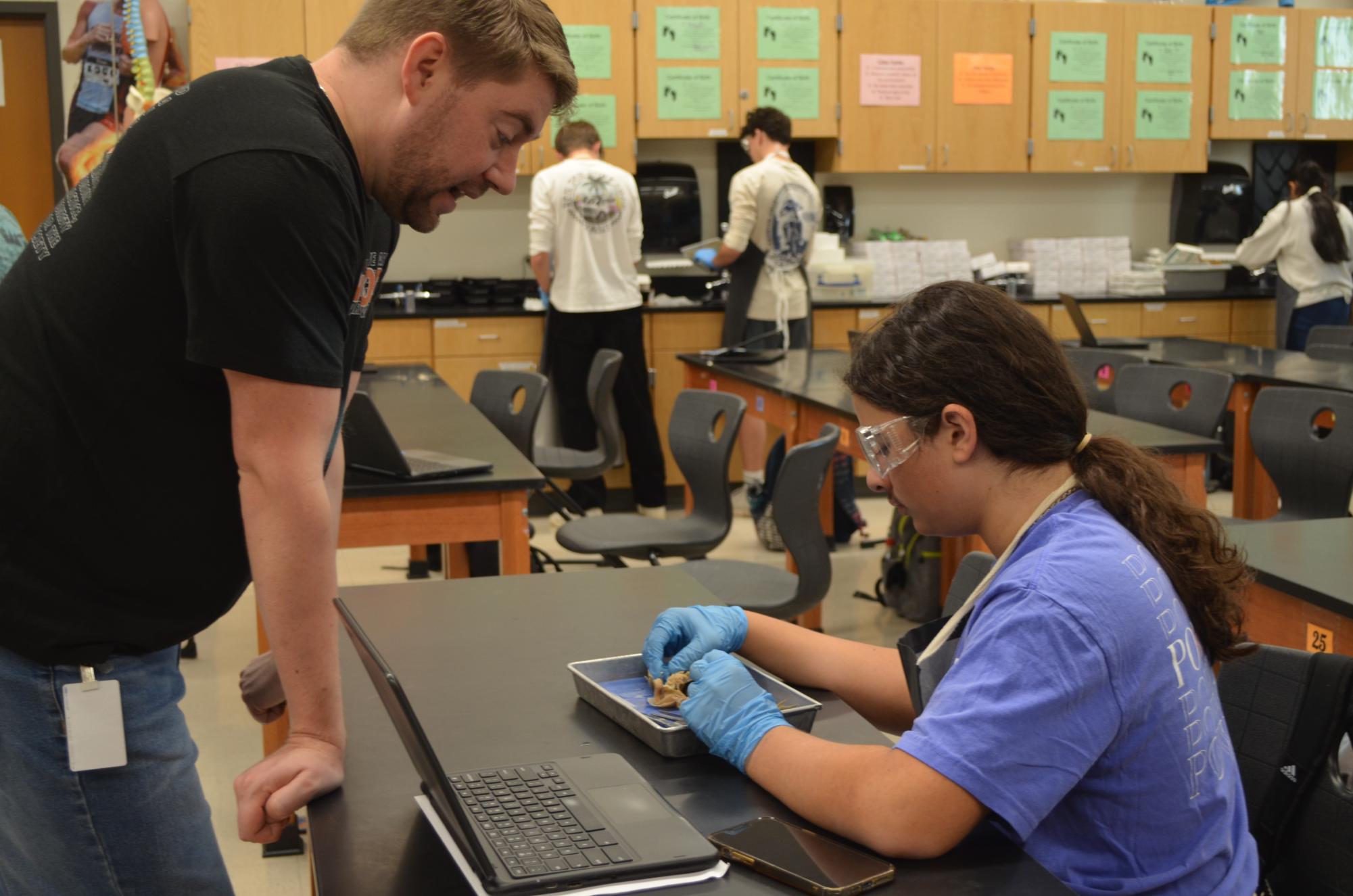 Anatomy and Dissection Club Leaps into Frog Dissection