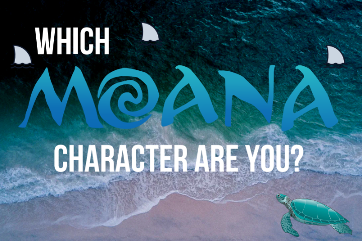 With the release of Moana 2, what character do you think you are? Take this quiz to find out!