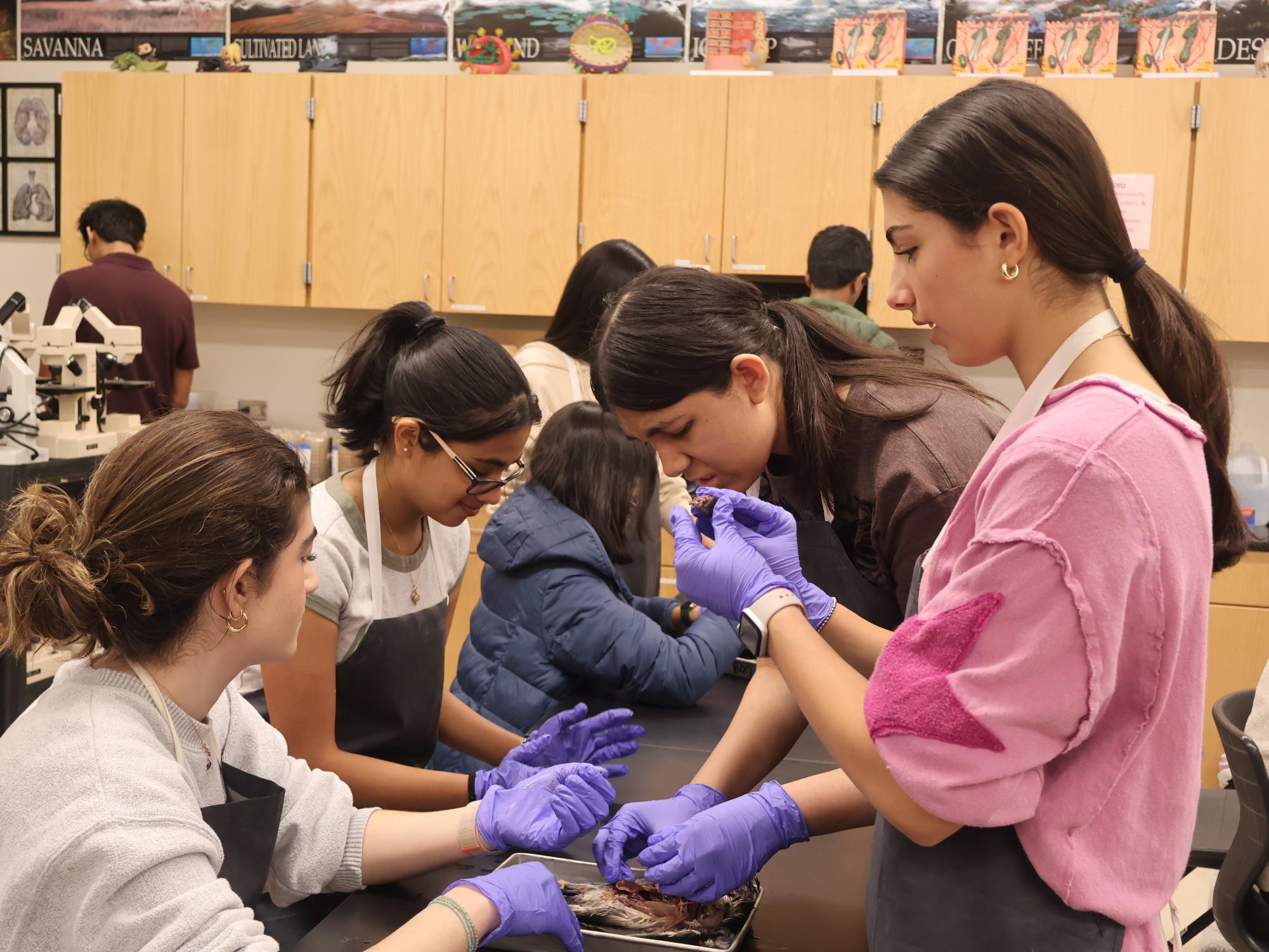 Bird’s Eye View: Anatomy & Dissection Club Observes Pigeon Anatomy